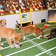 Illustration for article titled Puppy Bowl II